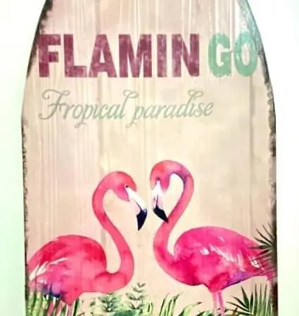 Flamingo's W/ 2 Swimming Pool