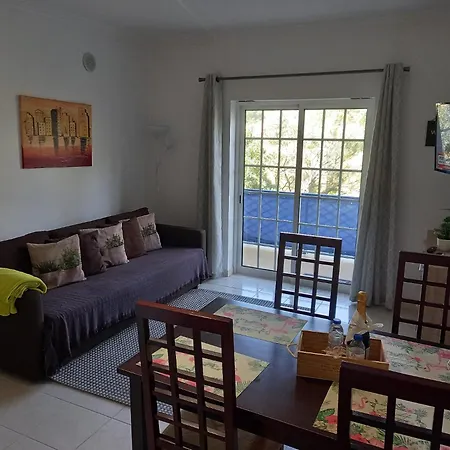 Flamingo's W/ 2 Swimming Pool Apartment