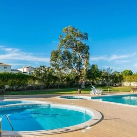Flamingo's W/ 2 Swimming Pool